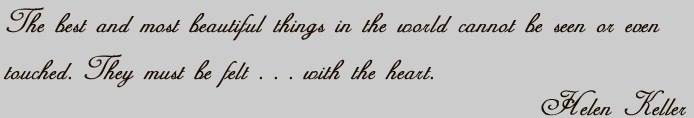 The best and most beautiful things in the world cannot be seen or even touched. They must be felt . . . with the heart. - Hellen Keller